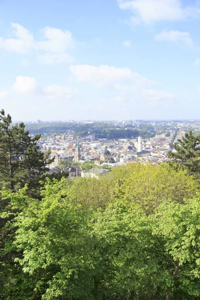 Dominik Katedrali, varsayım kilise ve tarihi merkezi Lviv, Ukrayna, güneşli bir günde güzel manzara