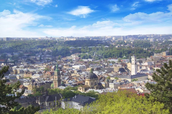 Dominik Katedrali, varsayım kilise ve tarihi merkezi Lviv, Ukrayna, güneşli bir günde güzel manzara