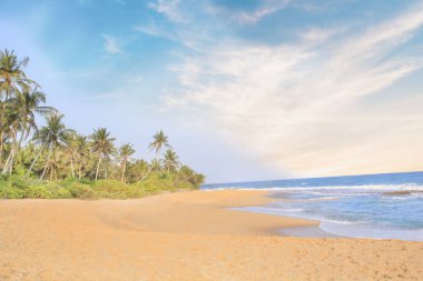 Güneşli bir günde güzel manzara Sri Lanka tropikal plaj