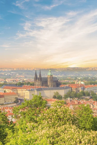 Vacker Utsikt Över Vitus Cathedral Prags Slott Och Mala Strana — Stockfoto