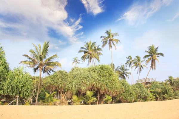 Вид Пляжи Шри Ланки Солнечный День — стоковое фото