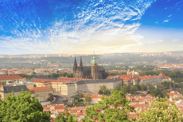 Hermosa Vista Catedral San Vito Castillo Praga Mala Strana Praga —  Fotos de Stock