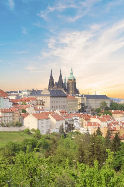 Beautiful View Vitus Cathedral Prague Castle Mala Strana Prague Czech — Stock Photo, Image