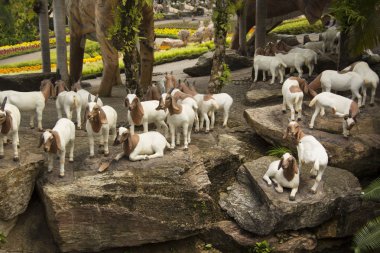 Pattaya - 27 Ekim: Nong Nooch Tropical Park güzel görünümünü üzerinde 27 Ekim 2018 Pattaya, Tayland