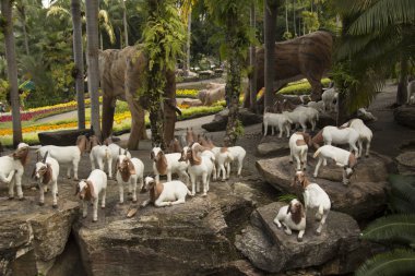 Pattaya - 27 Ekim: Nong Nooch Tropical Park güzel görünümünü üzerinde 27 Ekim 2018 Pattaya, Tayland