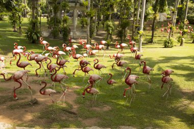 Güzel manzara, Nong Nooch Tropical Park, Pattaya, Tayland
