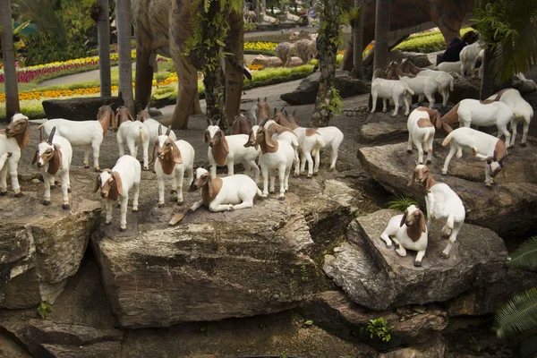 Güzel manzara, Nong Nooch Tropical Park, Pattaya, Tayland