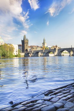 Güzel manzara Charles Köprüsü, eski şehir ve eski şehir Kulesi Charles Köprüsü, Çek Cumhuriyeti