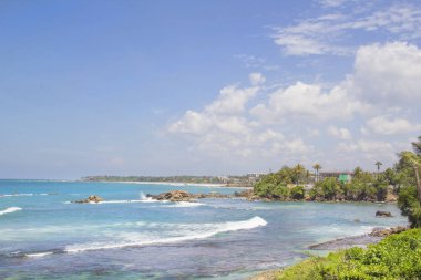 Güneşli bir günde güzel manzara Sri Lanka tropikal plaj