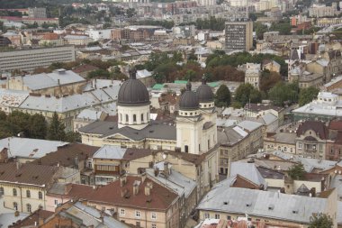 Dominik Katedrali, varsayım kilise ve tarihi merkezi Lviv, Ukrayna, güneşli bir günde güzel manzara