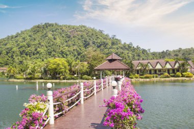 Tayland'da tropikal bir tatil güzel görünümü