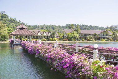 Tayland'da tropikal bir tatil güzel görünümü