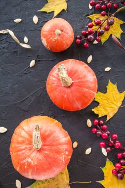 Balkabağı ve sonbahar yapraklarının güzel manzarası. Yaratıcı atmosfer dekorasyonu