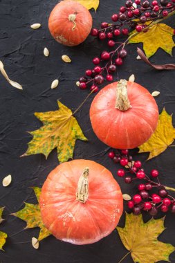 Balkabağı ve sonbahar yapraklarının güzel manzarası. Yaratıcı atmosfer dekorasyonu