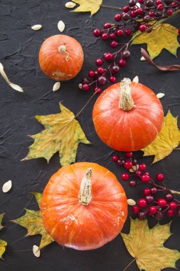 Balkabağı ve sonbahar yapraklarının güzel manzarası. Yaratıcı atmosfer dekorasyonu