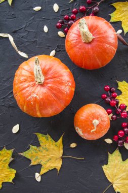 Balkabağı ve sonbahar yapraklarının güzel manzarası. Yaratıcı atmosfer dekorasyonu