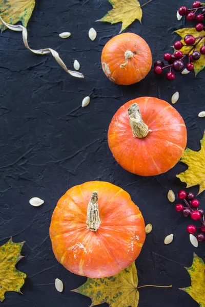 Nice View Pumpkin Autumn Leaves Creative Atmospheric Decoration — Stock Photo, Image