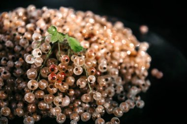 Faydalı beyaz üzümlü üzümlü, koyu arkaplanda.