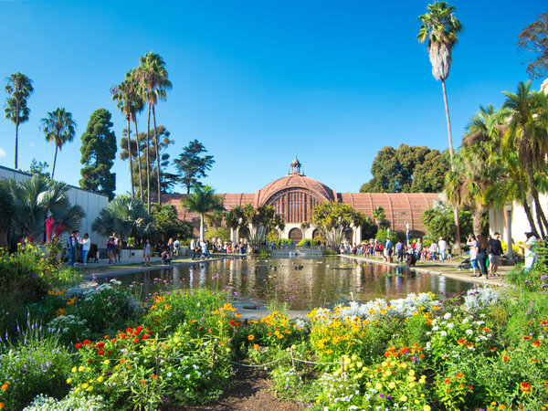 Lily Pond in Balboa Park, San Diego, California.