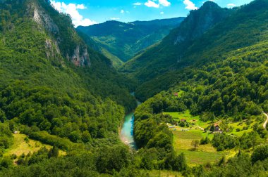 Karadağ. Tara Nehri 'nin resimli kanyonu. Kanyonu çevreleyen dağlar. Dağların yamaçlarındaki ormanlar..