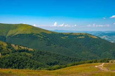 Karpatlar. Dağ sırasına yürü Borzhava. güneşli bir gün. Dağları aşan sis. Dağ çimlerle kaplı..
