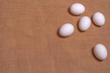 Çuval bezi üzerine beş beyaz tavuk yumurtası. Anlaşıldı..