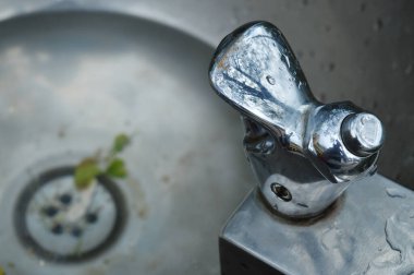 Ağaçların yansıması olan su musluğu