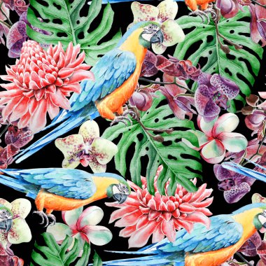 Kuşlar yaprak ve çiçek ile tropikal seamless modeli. Papağan. Etlingera. Monstera. Orkide. Sulu boya resim. Elle çizilmiş.