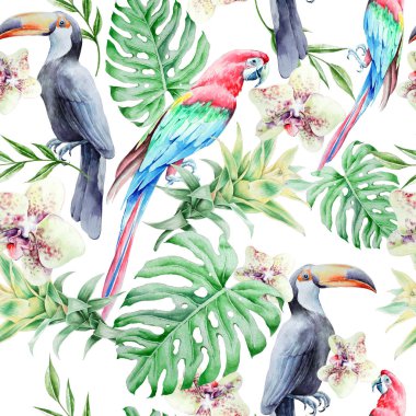Kuşlar yaprak ve çiçek ile tropikal seamless modeli. Papağan. Tucan. Monstera. Orkide. Bromeliad. Sulu boya resim. Elle çizilmiş.