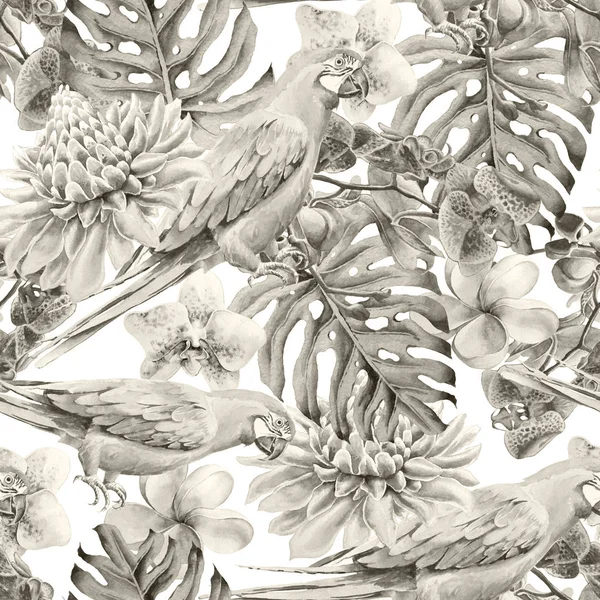 Tropical seamless pattern with birds leaves and flowers. Parrot. Etlingera.  Monstera. Orchid. Watercolor illustration. Hand drawn. — Stock Photo, Image