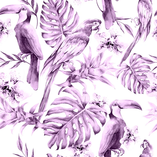 Kuşlar yaprak ve çiçek ile tropikal seamless modeli. Papağan. Tucan. Monstera. Orkide. Bromeliad. Sulu boya resim. Elle çizilmiş. — Stok fotoğraf