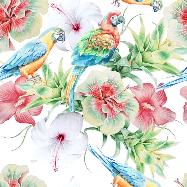 Papağan ve çiçeklerle parlak seamless modeli. Hibiscus. Bromeliad. Sulu boya resim. Elle çizilmiş.
