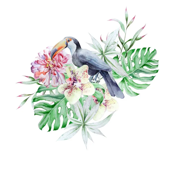 Ensemble tropical avec des feuilles d'oiseaux et des fleurs. Pivoine. Tucan. Monstera. Orchidée. Illustration aquarelle . — Photo