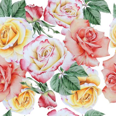 Çiçekli parlak, pürüzsüz bir desen. Gül. Suluboya çizimi. El çizimi.