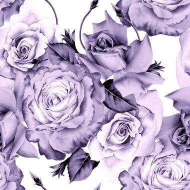 Çiçekli parlak, pürüzsüz bir desen. Gül. Suluboya çizimi. El çizimi.