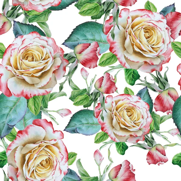 Padrão sem costura brilhante com flores. Rose... Ilustração aquarela. Desenhado à mão. — Fotografia de Stock