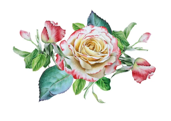 Akvarell bukett med rosor. Illustration. Handritad. — Stockfoto