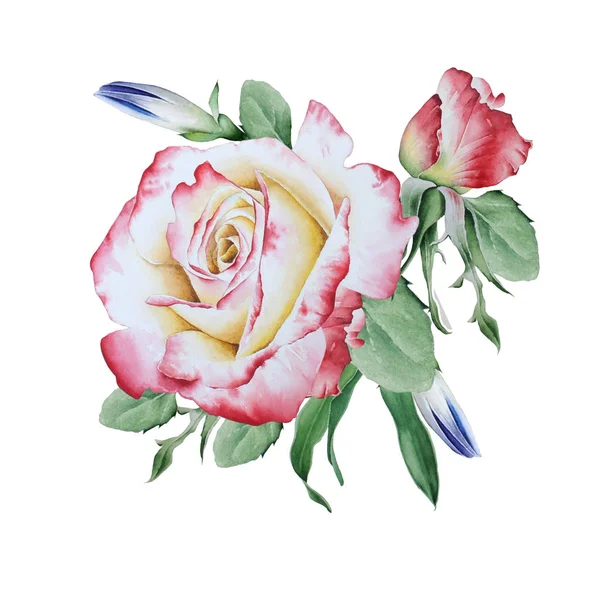 Buquê de aquarela com rosas. Ilustração. Desenhado à mão . — Fotografia de Stock