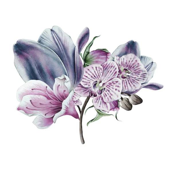 Bouquet acquerello con fiori. Illustrazione. — Foto Stock