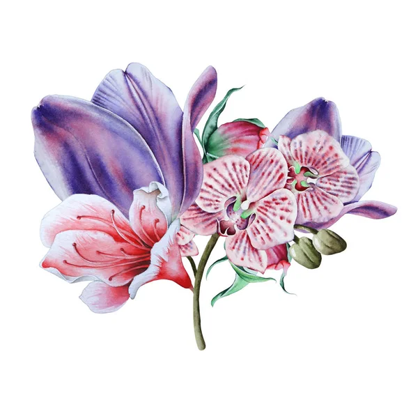 Akvarell csokor virágokkal. Illusztráció. — Stock Fotó