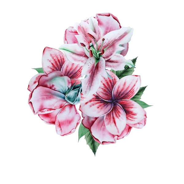 Akvarell csokor virággal. Rose. Crocus. Lily. Illusztráció. — Stock Fotó