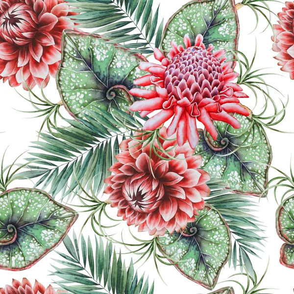 Luminoso modello tropicale senza cuciture con fiori. Etlingera. Dahlia. Illustrazione ad acquerello . — Foto Stock