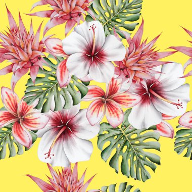 Çiçeklerle parlak tropikal dikişsiz desen. Monstera. Hibiscus. Bromeliad mı? Plumeria. Suluboya illüstrasyon.