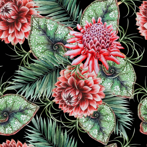 Fényes trópusi varrat nélküli mintázat virágokkal. Etlingera szálláshelyén. Dahlia. Akvarell illusztráció. — Stock Fotó