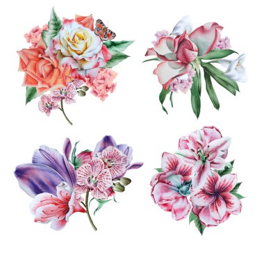 Suluboya buketleri ile ayarlayın. Elle çizilmiş.