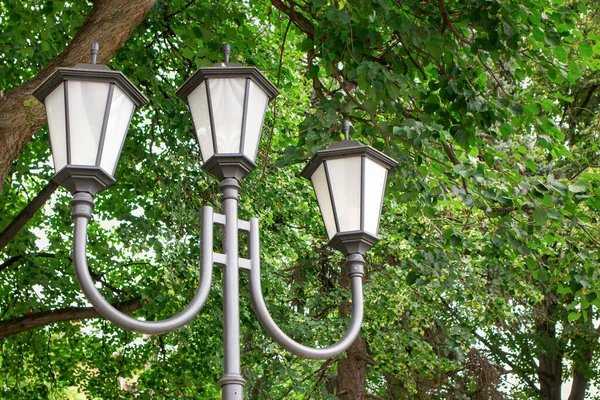 Close-up of the street lights and trees in the alley in the city Park. Concept of urban street lighting. Turning on and off street lights. City lighting service. Arrangement of parks and streets
