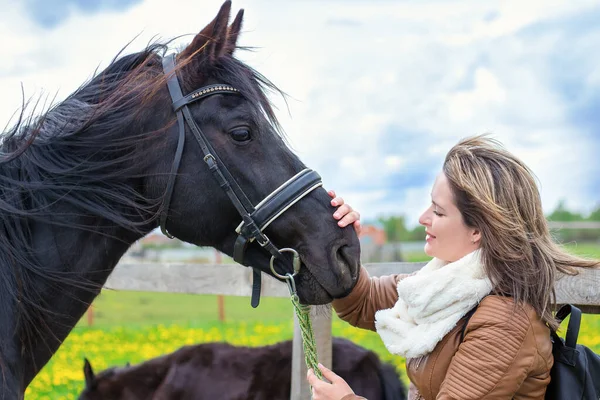 A woman in a white scarf and brown leather jacket strokes a black thoroughbred horse. The concept of friendship and tender emotion between people and an animal. The horse with it\'s owner.