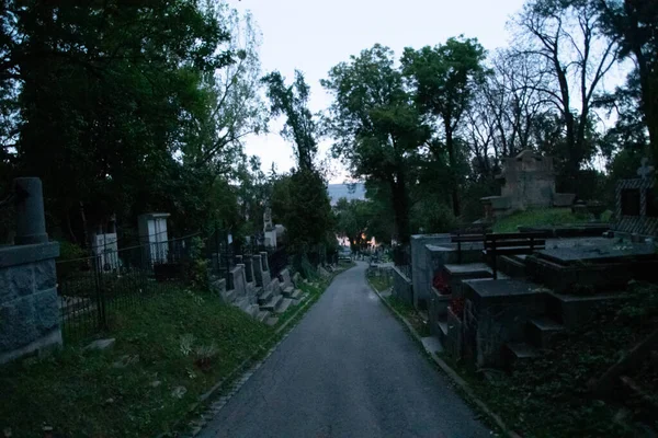 Alley Old Cemetery Transylvania — Stock Photo, Image