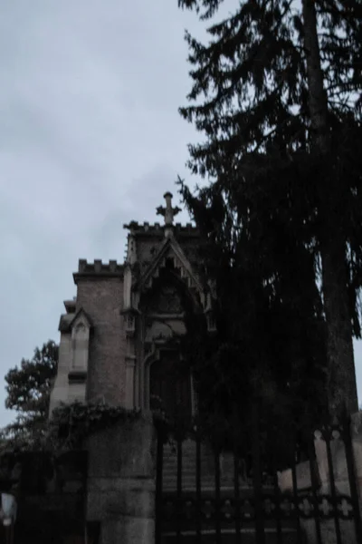Eine Schwarz Weiß Ansicht Einer Gotischen Krypta Und Einer Tanne — Stockfoto