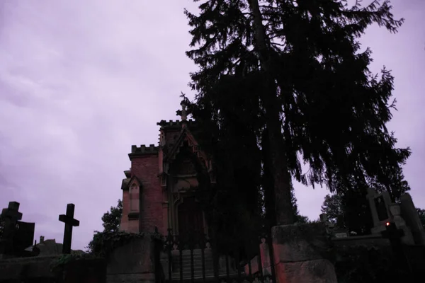 Purple Sky Gothic Creep Fir Abstract Way Creepy Way View — Stock Photo, Image